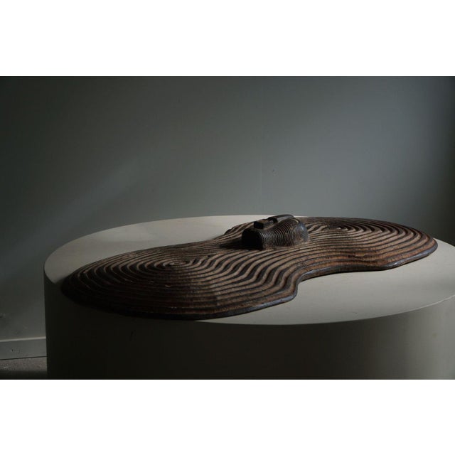 Beige Antique African Shield, 1890s For Sale - Image 8 of 17