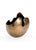 2020s Wildwood Free Form Edge Bowl, Large For Sale - Image 5 of 5