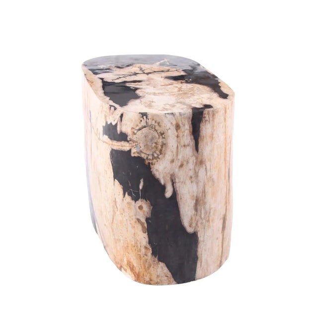 Contemporary Large Oval Petrified Wood Accent Table or Side Table 2 For Sale - Image 3 of 10