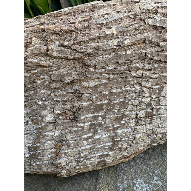 Vintage 45” Textured Bark & Wood Canoe With Leather Rawhide For Sale - Image 9 of 16