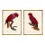 Barraband Parrots – Red Lories (Set of 2), Framed in Bronze Bamboo For Sale