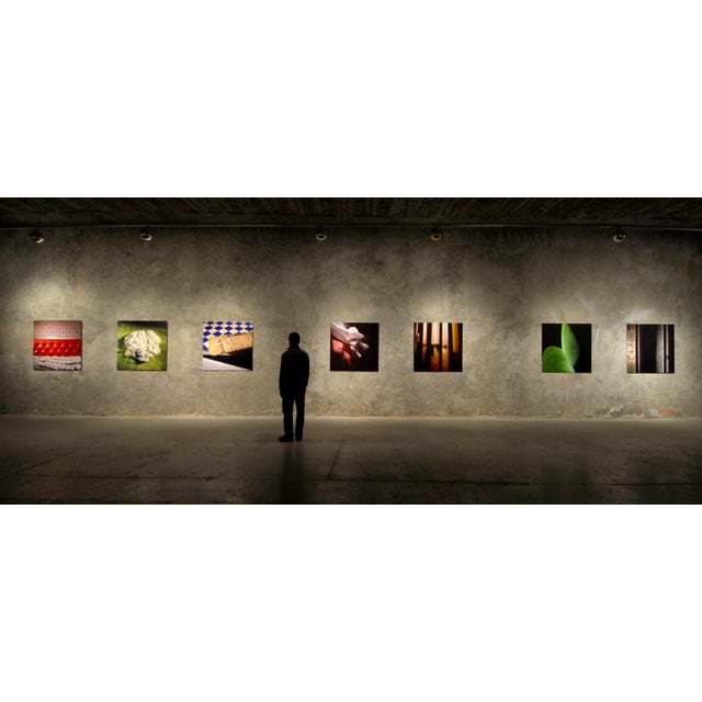 Photograph by Filipe Condado, in Exhibition Piece conditions. Designed from 2000 Signed by Maker