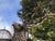Stag Sculpture in Bronzed Aluminium For Sale - Image 6 of 9