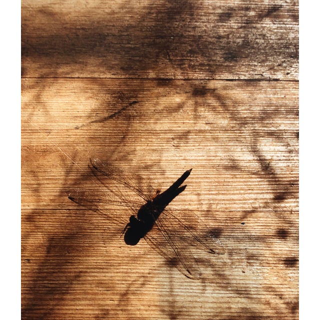 Dragon Fly , Photo, The Tappen House, Little Compton, RI (Rhode Island). Hand signed and numbered. small edition of 15,...