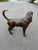 Life-Size Bronze Bloodhound Garden Statue from Christian Maas For Sale - Image 17 of 18