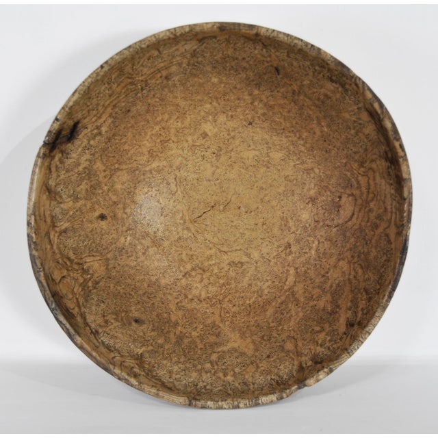 18th Century Monumental 18th Century American Burlwood Bowl, Virtually Untouched Historical Significance For Sale - Image 5 of 12