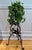 A Continental wrought iron tripod plant stand with an open, sculptural form composed of scrolling ironwork and hand-worked...