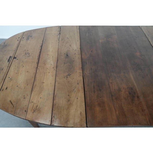 French Oval Extendable Dining Table in Fruit Tree Wood For Sale - Image 10 of 18