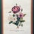 Late 20th Century Grand Scale French Framed Botanical Set by Pierre-Joseph Redouté Reproduction Prints - Set of 3 For Sale - Image 5 of 8