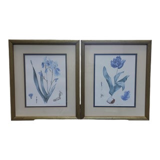 Ann Gethen Mid Century Floral Prints - A Framed Pair For Sale