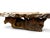 Mid-Century Modern 1970s Mid Century Modern Burlwood Organic Sculptural Coffee Table For Sale - Image 3 of 7