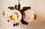 Metal Murano 4-Light Chandelier in Teak from Mazzega, 1960 For Sale - Image 7 of 18