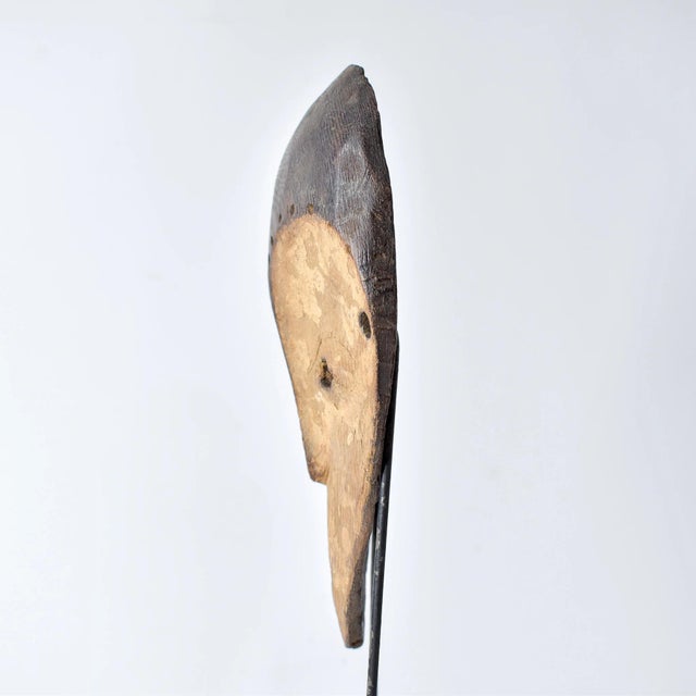 Early 20th Century Lega Bwami Society Mask For Sale - Image 4 of 8