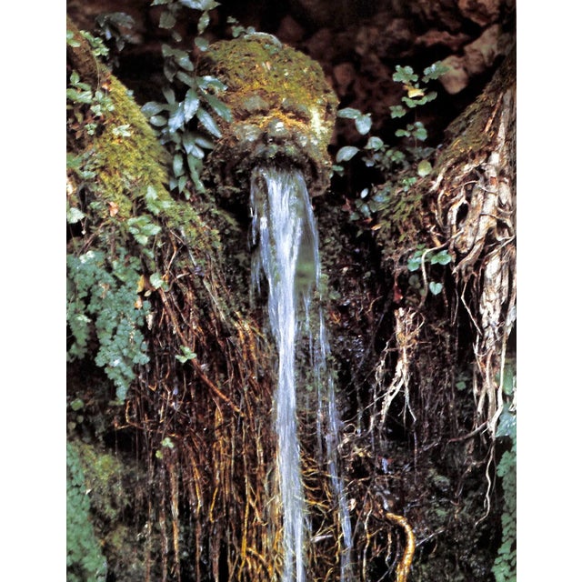 "Gardens of the Italian Villas" 1987 Agnelli, Marella For Sale - Image 9 of 12