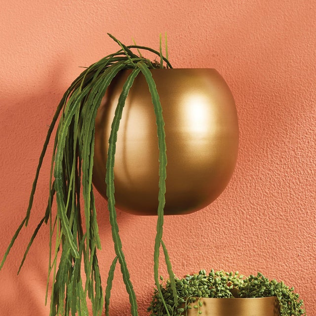 As if suspended in mid air, this modern wall planter is perfect for your cascading succulents. Hang in multiples to create...