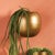 As if suspended in mid air, this modern wall planter is perfect for your cascading succulents. Hang in multiples to create...
