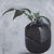 Justyna Kuklo, Black Vase I, 2019, Oil on Canvas For Sale - Image 4 of 6