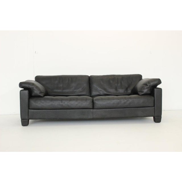 DS-17 Leader Leader Sofa from de Sede For Sale - Image 14 of 14