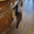 Late 19th Century Late 19th Century French Amboyna Bombé Commode With Marble Top & Gilt-Bronze Mounts, Circa 1890 For Sale - Image 5 of 13