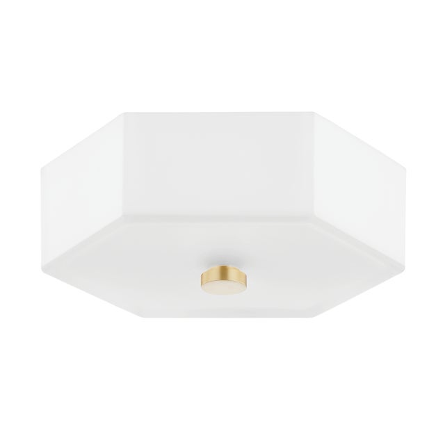 Mitzi Mitzi Lizzie 11 in. 2 Light Flush Mount in Aged Brass and Polished Nickel Finish For Sale - Image 4 of 4