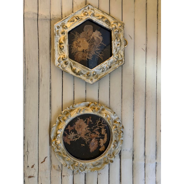1960s Vintage Set of Two Botanicals, Framed For Sale - Image 5 of 9