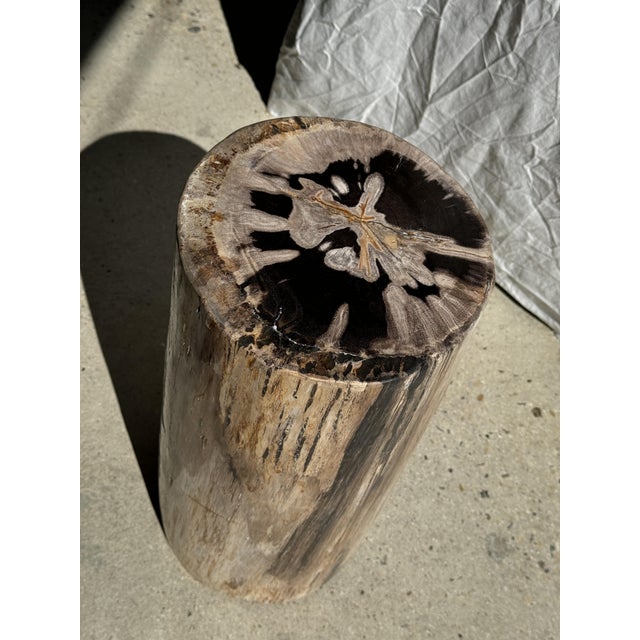 Multicolored Petrified Wood Side Table For Sale - Image 4 of 18