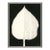 Hosta I by Susan Hable For Sale