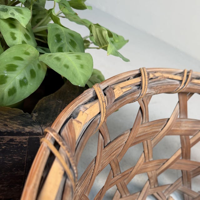 Japanese Bamboo Zaru Harvest Basket, 1960s For Sale - Image 9 of 10