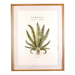 Original Vintage Custom Botanical Fern Prints with Makers Stamp For Sale