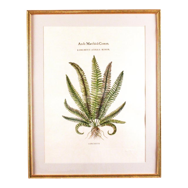 Original Vintage Custom Botanical Fern Prints with Makers Stamp For Sale