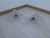 1990s Wall Lamps attributed to Angelo Mangiarotti for Artemide, 1990s, Set of 2 For Sale - Image 5 of 7