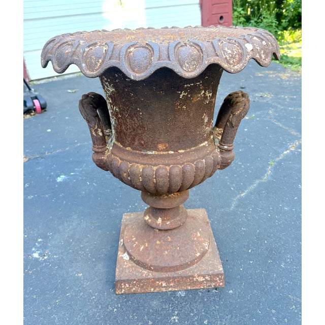 Huge Antique Late Victorian French Heavy Cast Iron Outdoor Planter Urn W/ Handle For Sale - Image 4 of 17