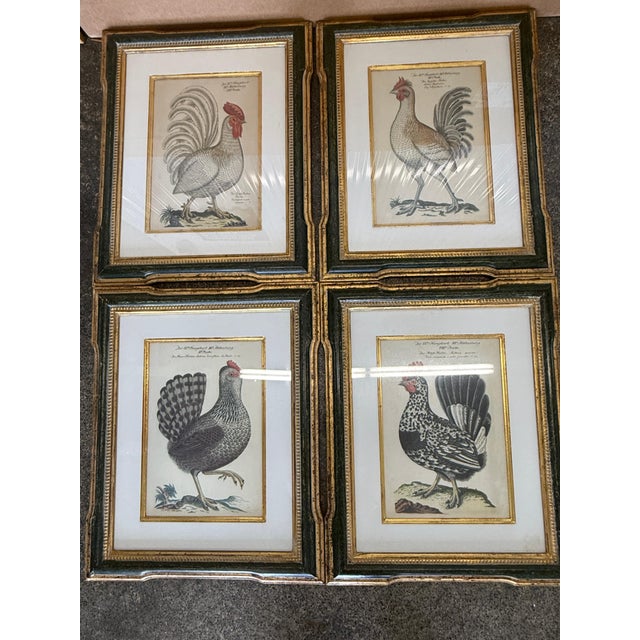 Antique Colored Rooster Prints in Trowbridge Frames - Set of 4 For Sale - Image 10 of 12
