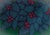 Arts & Crafts Doris Leslie Blau Antique Donegal Rug Fragment by C.F.A. Voysey For Sale - Image 3 of 6