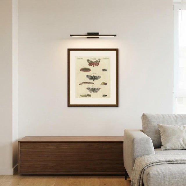 Bertuch, Garden Tiger Moth and Emperor Moth, 1805, Print For Sale - Image 11 of 12