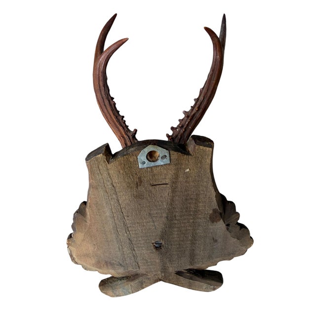 1900 - 1909 Roe Deer Trophy 83 Black Foreset Antlers For Sale - Image 5 of 5