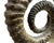 15th Century & Earlier 15th Century Large Spiral Ammonite Fossil Ram Horn Style Display Specimen on Matrix For Sale - Image 5 of 9