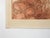 Rustic Late 20th Century Sepia Aruba Village Etching For Sale - Image 3 of 7