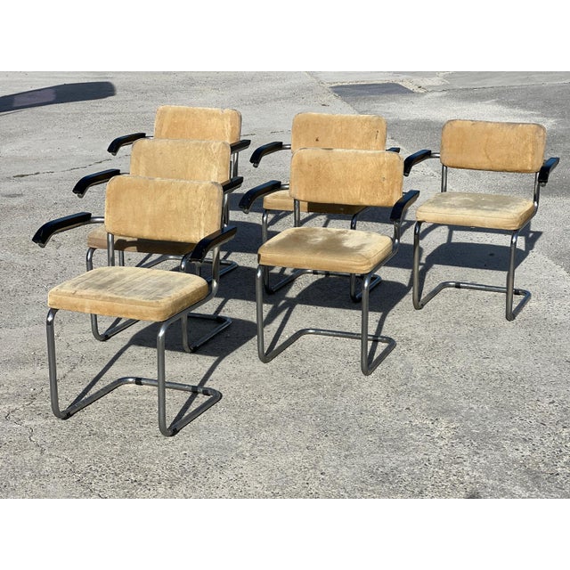 Wood S64 Armchairs by Marcel Breuer for Thonet, 1950s, Set of 6 For Sale - Image 7 of 7