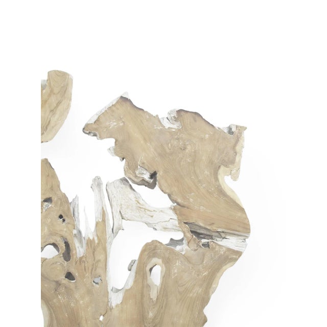 Abstract Organic Teak Root Sculpture Wall Art 12 For Sale - Image 3 of 6