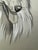Illustration Original Signed Graphite Portrait of Collie Dog, 1949, 11 × 8.25 In. For Sale - Image 3 of 6