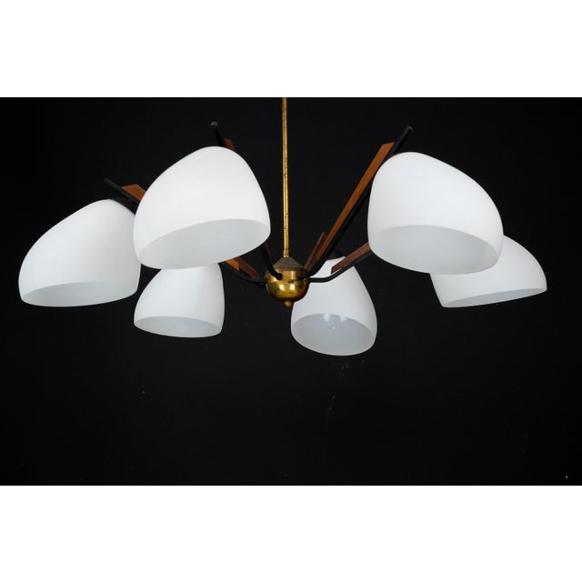 Mid-Century Modern Italian Chandelier in the style of Stilnovo, 1950s For Sale - Image 16 of 18