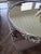 Traditional Antique Sheffield Silverplated Plateau Mirror Tray For Sale - Image 3 of 7
