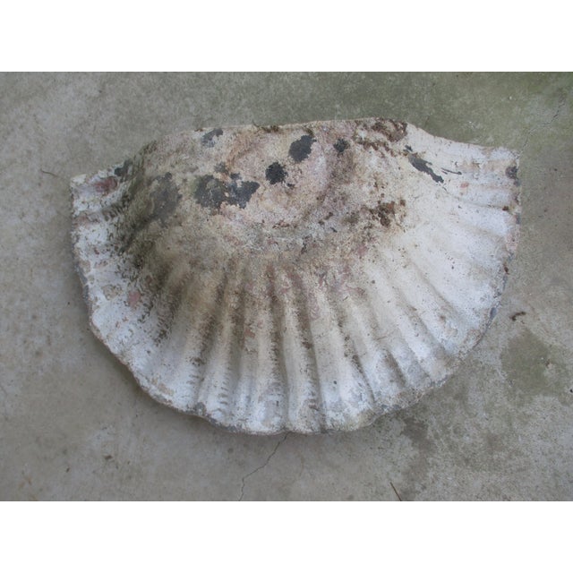 Antique French Ornate Lead Fish Design With Cement Surround & Well Wall Fountain For Sale - Image 9 of 11