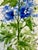Original “Blue Delphinium” Watercolor Tall Painting For Sale - Image 10 of 12