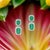 Traditional Natural Emerald Diamond Earrings 14k Gold 3.48 TCW Certified For Sale - Image 3 of 13