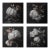 Set of 4 - Art Wall Installation 36' X 36' - 'Blossoming Flowers' - Limited Edition Botanical Photograph Prints, Unframed For Sale