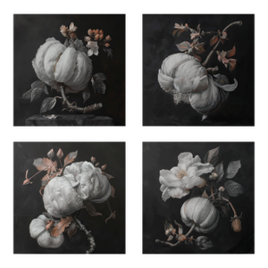 Set of 4 - Art Wall Installation 36' X 36' - 'Blossoming Flowers' - Limited Edition Botanical Photograph Prints, Unframed