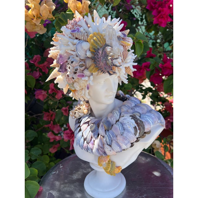 Gemstone CSS 15" Seashell Apollo Bust For Sale - Image 7 of 8