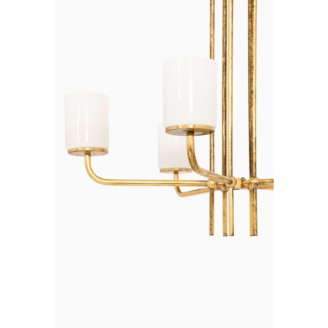 Ceiling Lamp in Brass and Opaline Glass in the style of Paavo Tynell, 1950s For Sale - Image 4 of 8